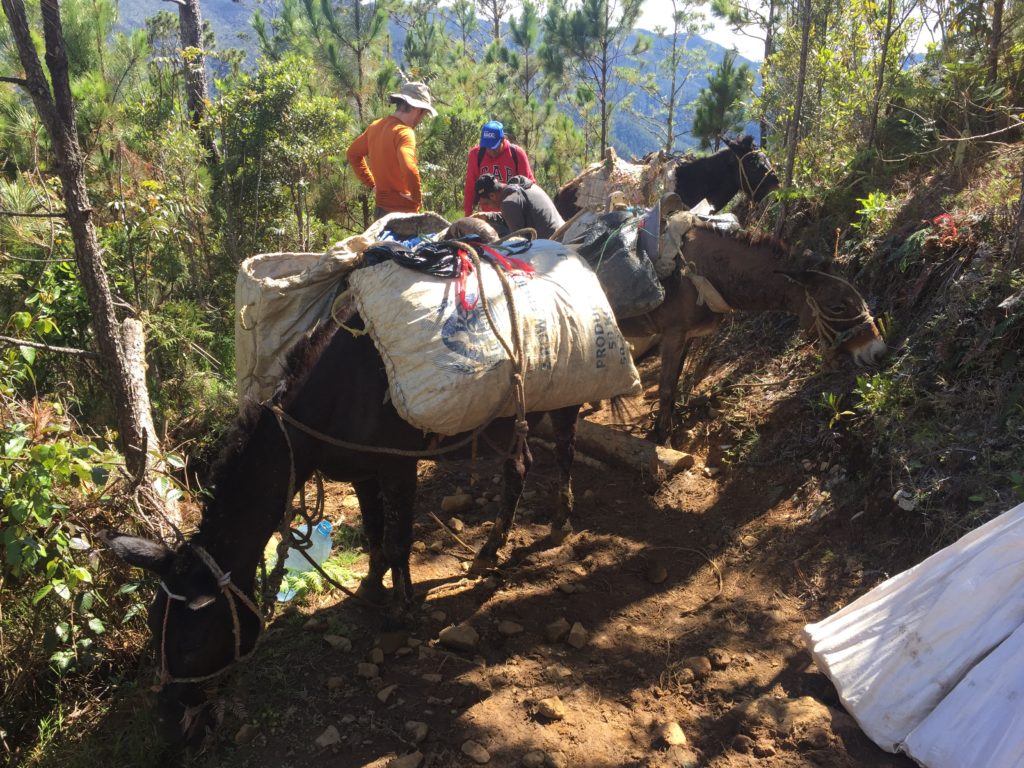 traveling to field sites in a TMCF