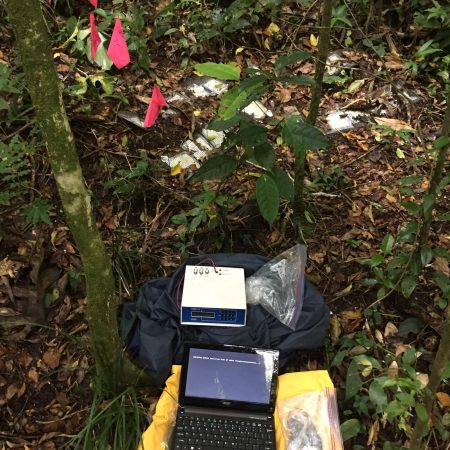 microbial ecology in TMCF