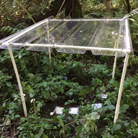 drought shelter in a TMCF